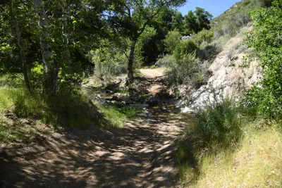 DSC_5903 (Large).JPG